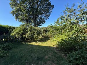 Photo 15- click for photo gallery